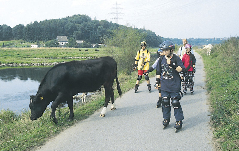 Inline Skaten Projekt Ganztag Baustein 7 Wahrnehmung Antizipation Sekundarstufe Verkehrserziehung Mobilitaetsbildung