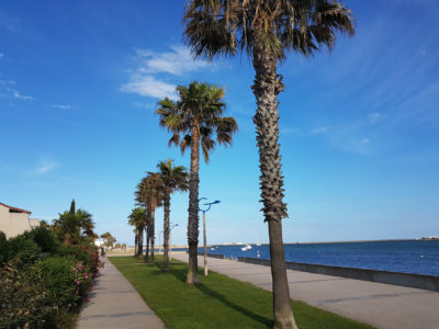 Urlaub & Reisen Reisen Mit Kindern Urlaub Autofahrt Urlaubsfahrt